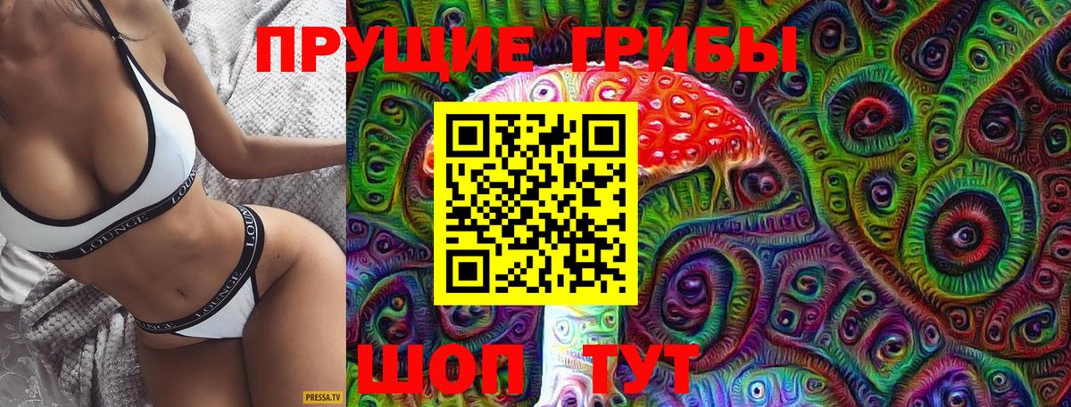 Псилоцибиновые грибы GOLDEN TEACHER Ахтубинск