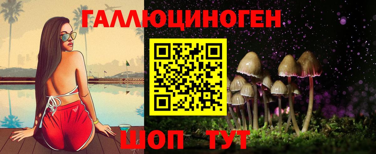 Галлюциногенные грибы мицелий  Вход с VPN  Галлюциногенные грибы Psilocybine cubensis  Ахтубинск 